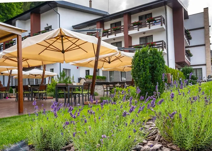 Piatra Pinului Ski & Spa