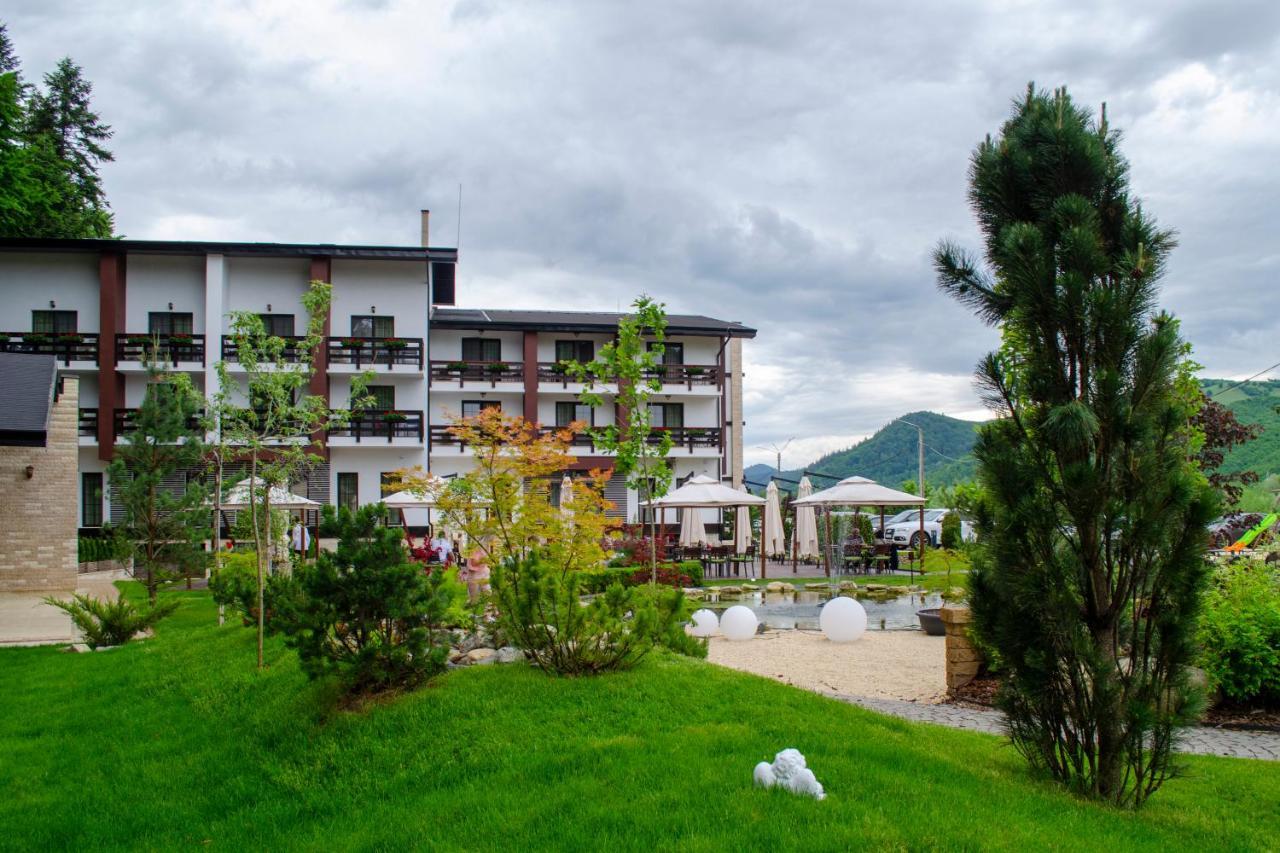 Piatra Pinului &