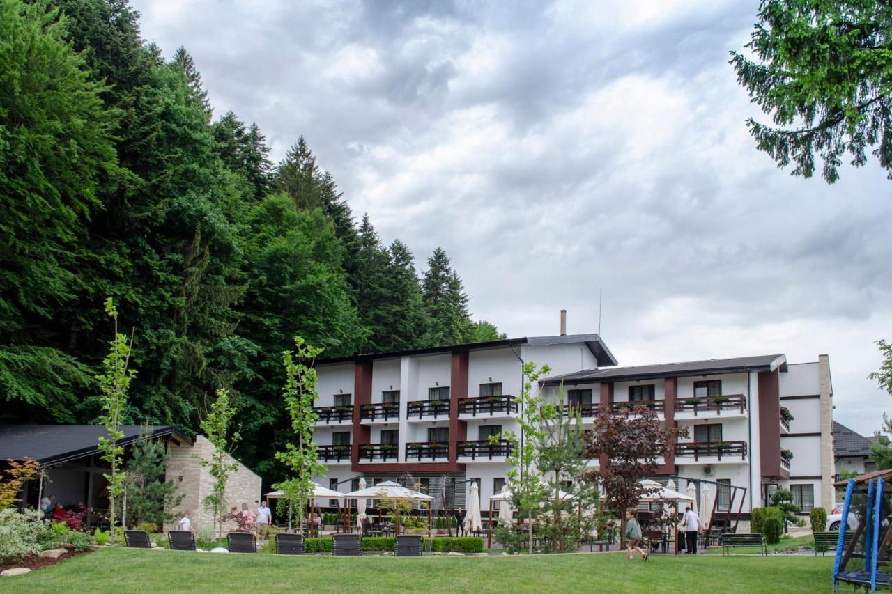 Hotel Piatra Pinului &