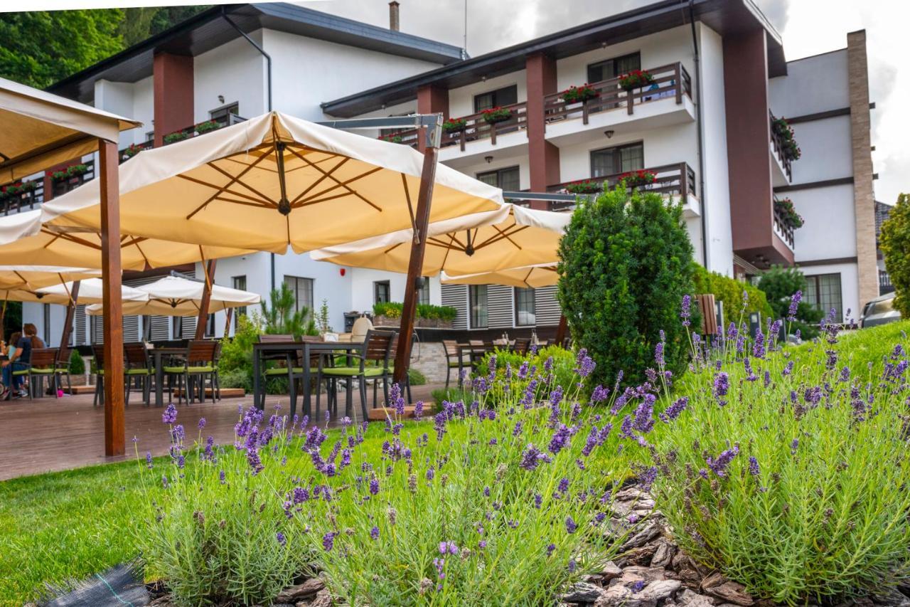 Hotel Piatra Pinului & 4*