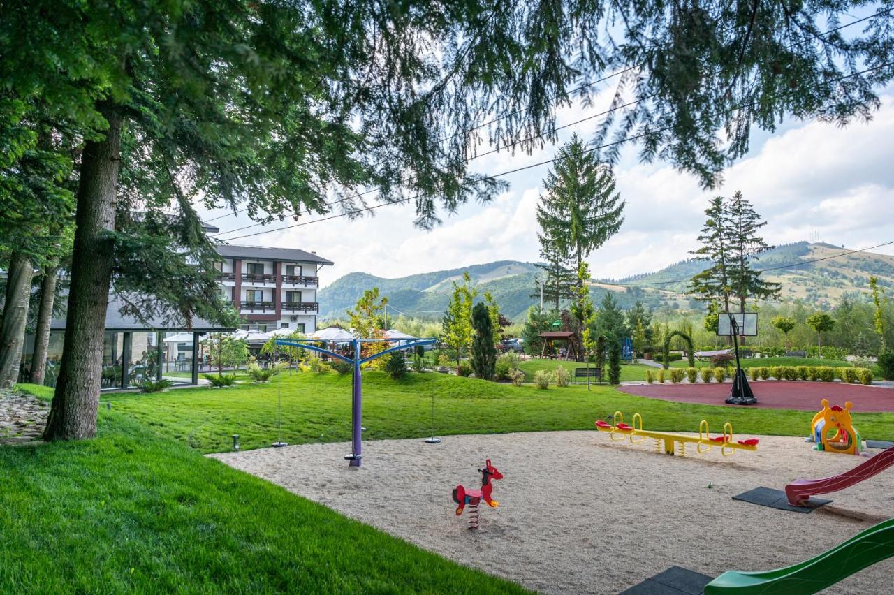 Piatra Pinului & Hotel