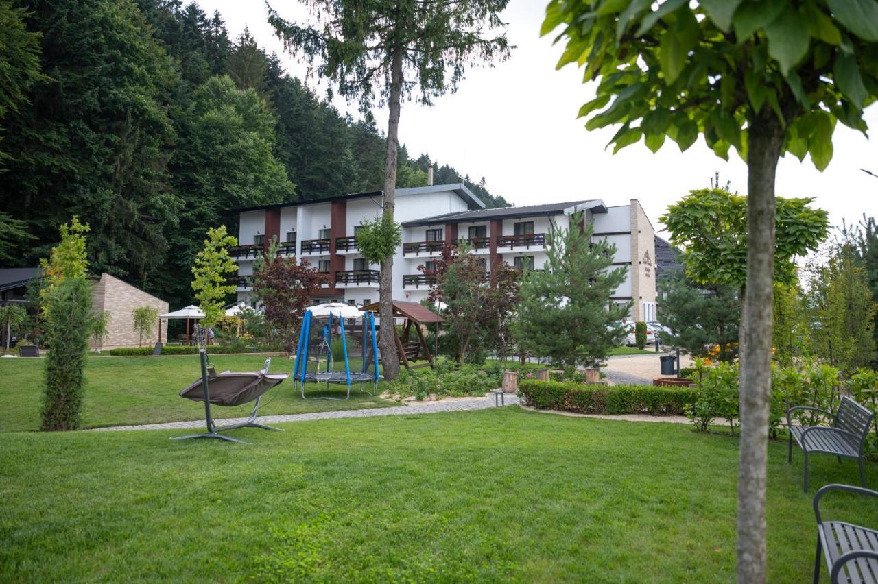 Piatra Pinului & Hotel Gura Humorului
