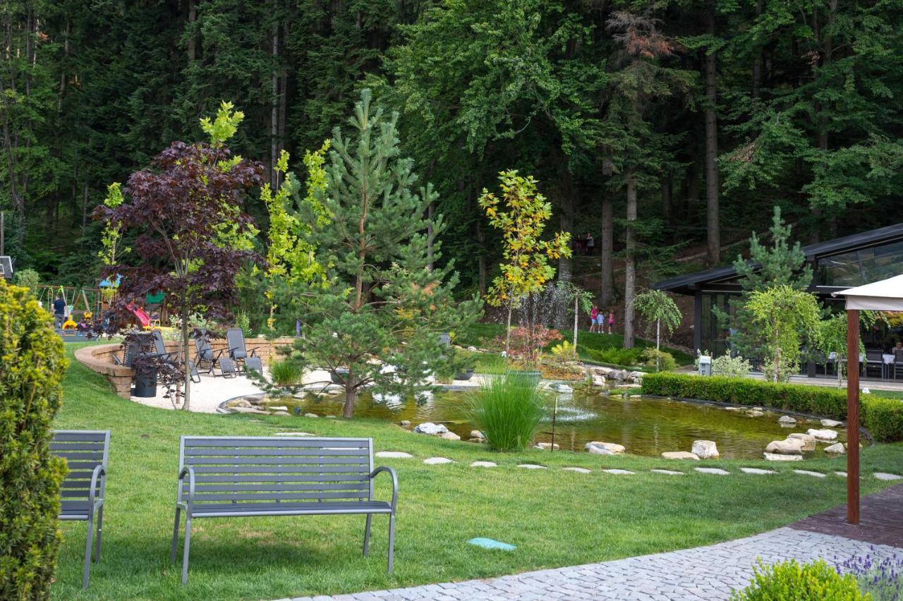 Piatra Pinului & 4*